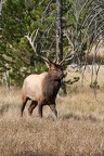 img 5187 (1383356 Besuche) img 5187