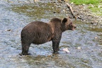 img 4993 (1626821 Besuche) img 4993